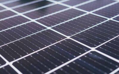 Cómo elegir el mejor proveedor de paneles solares